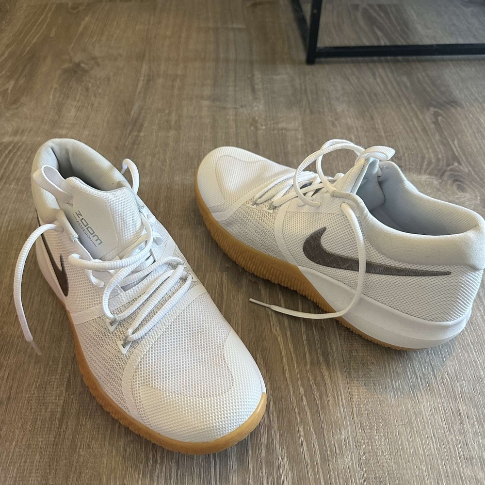 Nike zoom Assesrion